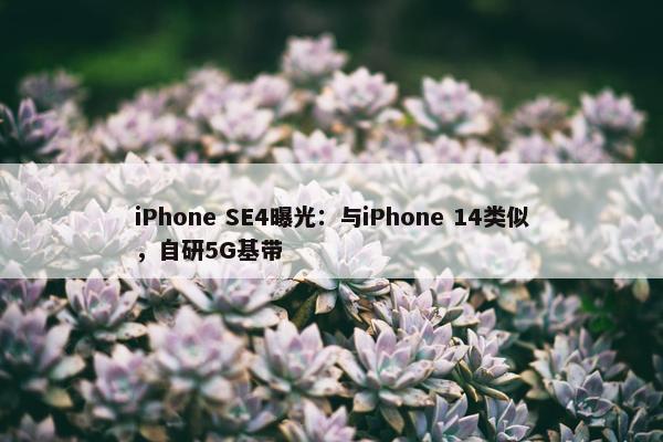 iPhone SE4曝光：与iPhone 14类似，自研5G基带