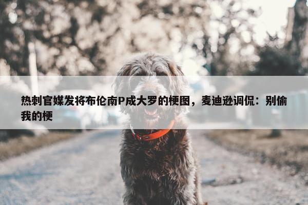 热刺官媒发将布伦南P成大罗的梗图，麦迪逊调侃：别偷我的梗