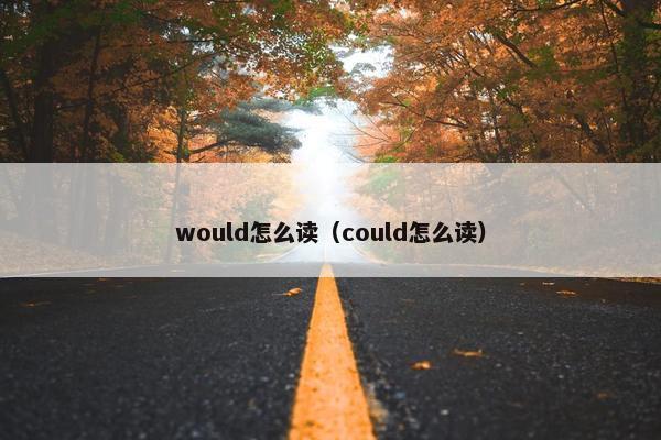 would怎么读（could怎么读）