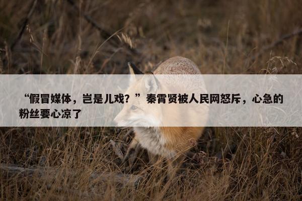 “假冒媒体，岂是儿戏？”秦霄贤被人民网怒斥，心急的粉丝要心凉了