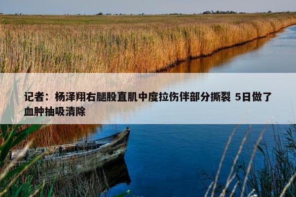 记者：杨泽翔右腿股直肌中度拉伤伴部分撕裂 5日做了血肿抽吸清除