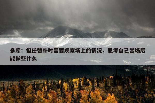 多库：担任替补时需要观察场上的情况，思考自己出场后能做些什么