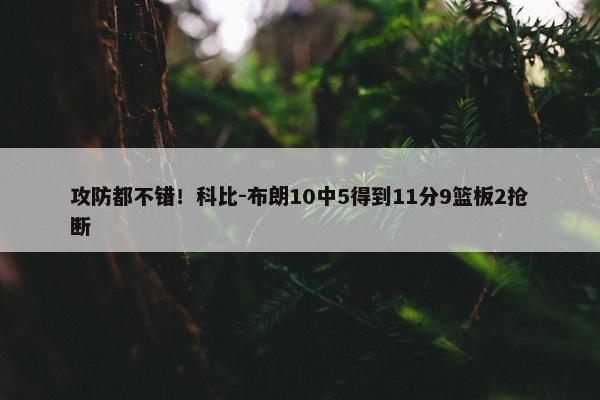 攻防都不错！科比-布朗10中5得到11分9篮板2抢断