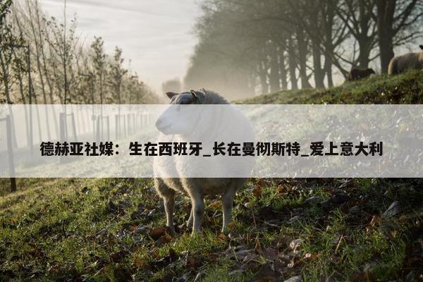 德赫亚社媒：生在西班牙_长在曼彻斯特_爱上意大利