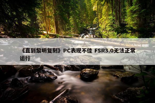 《直到黎明复刻》PC表现不佳 FSR3.0无法正常运行