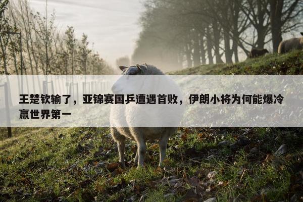 王楚钦输了，亚锦赛国乒遭遇首败，伊朗小将为何能爆冷赢世界第一