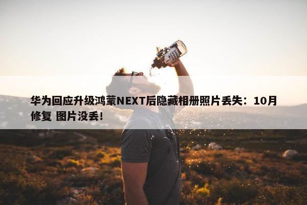 华为回应升级鸿蒙NEXT后隐藏相册照片丢失：10月修复 图片没丢！