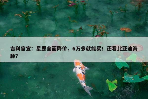 吉利官宣：星愿全面降价，6万多就能买！还看比亚迪海豚？