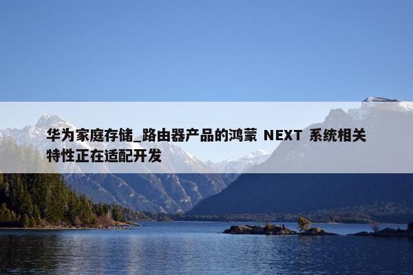 华为家庭存储_路由器产品的鸿蒙 NEXT 系统相关特性正在适配开发