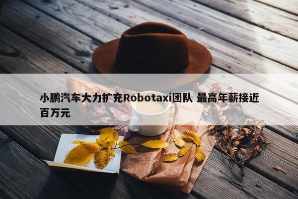 小鹏汽车大力扩充Robotaxi团队 最高年薪接近百万元