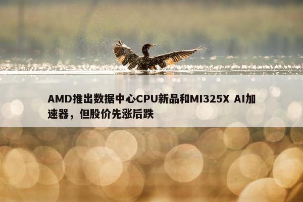 AMD推出数据中心CPU新品和MI325X AI加速器，但股价先涨后跌