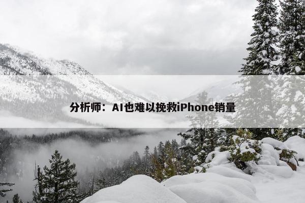 分析师：AI也难以挽救iPhone销量