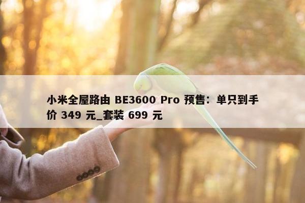 小米全屋路由 BE3600 Pro 预售：单只到手价 349 元_套装 699 元