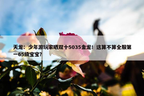 天龙：少年游玩家晒双十5035金龙！这算不算全服第一65级宝宝？