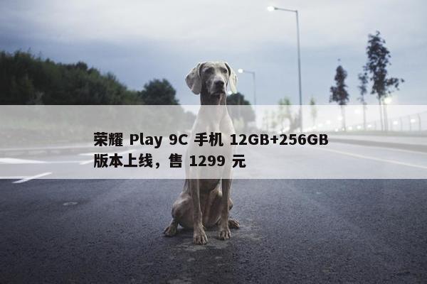 荣耀 Play 9C 手机 12GB+256GB 版本上线，售 1299 元