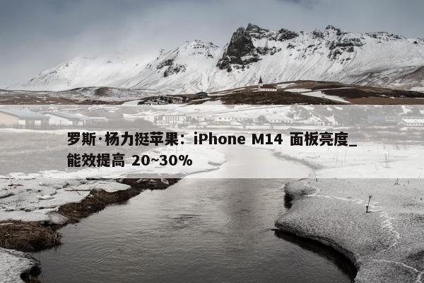 罗斯·杨力挺苹果：iPhone M14 面板亮度_能效提高 20~30%