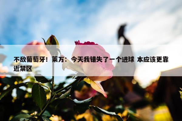 不敌葡萄牙！莱万：今天我错失了一个进球 本应该更靠近禁区