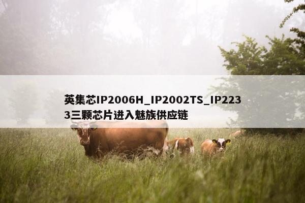 英集芯IP2006H_IP2002TS_IP2233三颗芯片进入魅族供应链