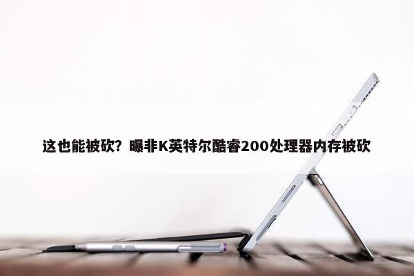 这也能被砍？曝非K英特尔酷睿200处理器内存被砍