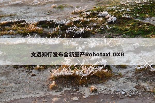 文远知行发布全新量产Robotaxi GXR