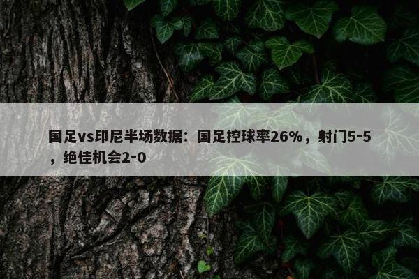 国足vs印尼半场数据：国足控球率26%，射门5-5，绝佳机会2-0