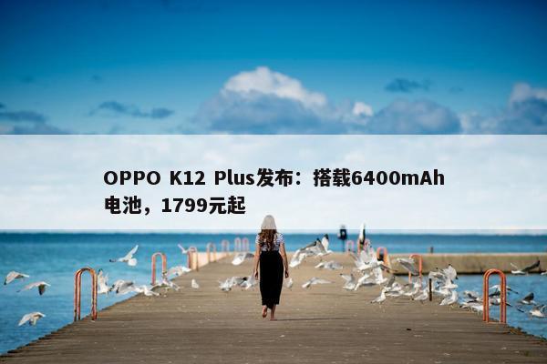 OPPO K12 Plus发布：搭载6400mAh电池，1799元起