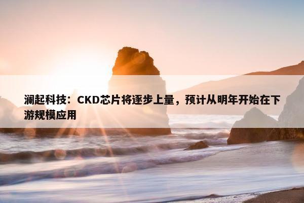 澜起科技：CKD芯片将逐步上量，预计从明年开始在下游规模应用