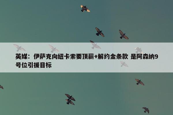 英媒：伊萨克向纽卡索要顶薪+解约金条款 是阿森纳9号位引援目标