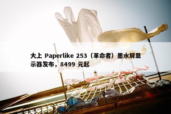 大上 Paperlike 253（革命者）墨水屏显示器发布，8499 元起