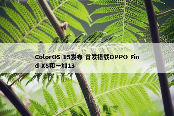 ColorOS 15发布 首发搭载OPPO Find X8和一加13