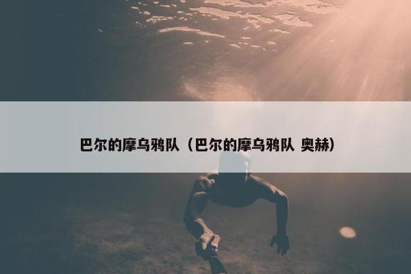 巴尔的摩乌鸦队（巴尔的摩乌鸦队 奥赫）