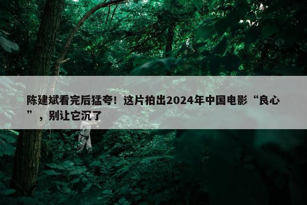 陈建斌看完后猛夸！这片拍出2024年中国电影“良心”，别让它沉了