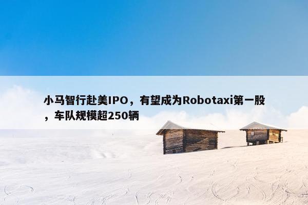 小马智行赴美IPO，有望成为Robotaxi第一股，车队规模超250辆