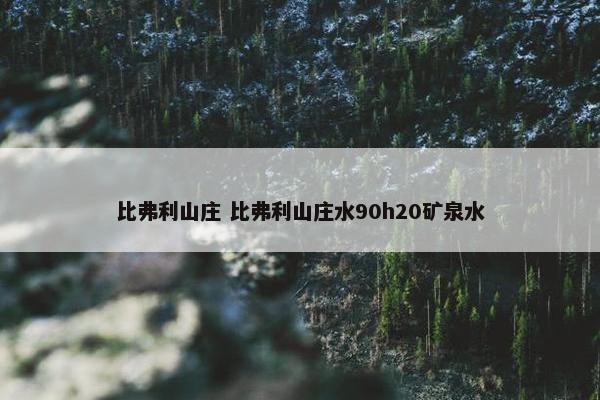 比弗利山庄 比弗利山庄水90h20矿泉水