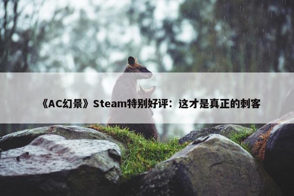 《AC幻景》Steam特别好评：这才是真正的刺客