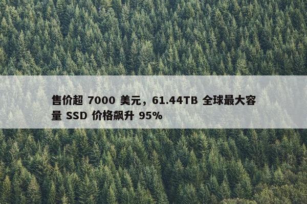 售价超 7000 美元，61.44TB 全球最大容量 SSD 价格飙升 95%