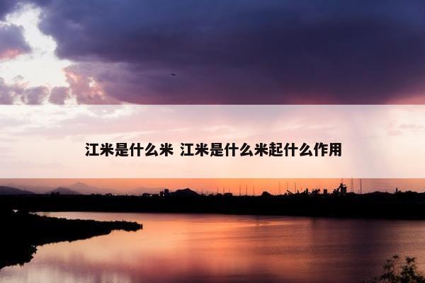 江米是什么米 江米是什么米起什么作用