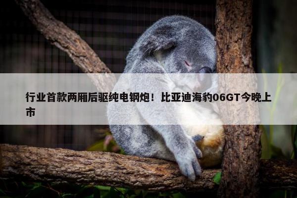 行业首款两厢后驱纯电钢炮！比亚迪海豹06GT今晚上市