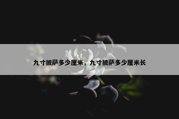 九寸披萨多少厘米，九寸披萨多少厘米长