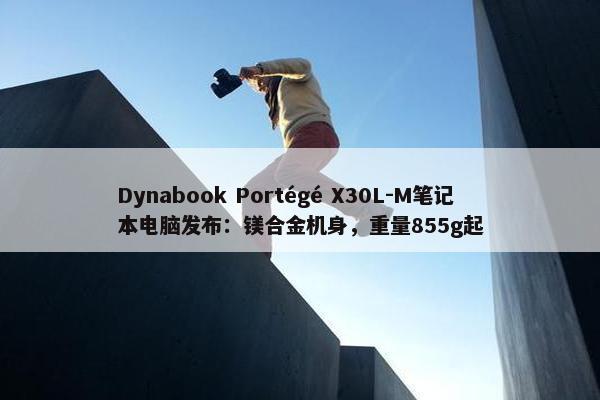 Dynabook Portégé X30L-M笔记本电脑发布：镁合金机身，重量855g起