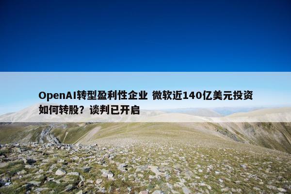 OpenAI转型盈利性企业 微软近140亿美元投资如何转股？谈判已开启