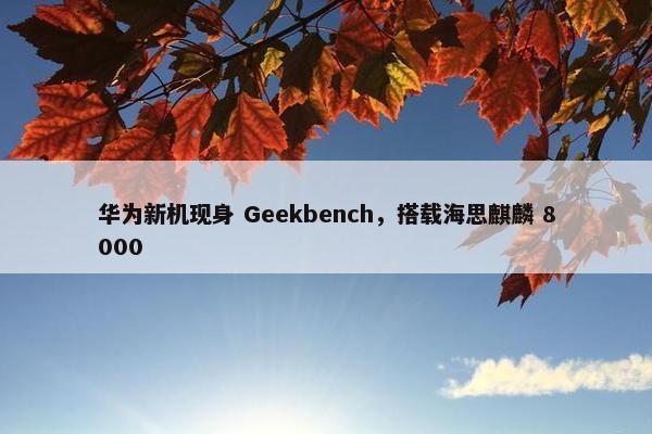 华为新机现身 Geekbench，搭载海思麒麟 8000