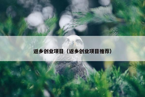 返乡创业项目（返乡创业项目推荐）