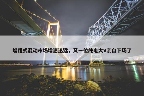 增程式混动市场增速迅猛，又一位纯电大V亲自下场了