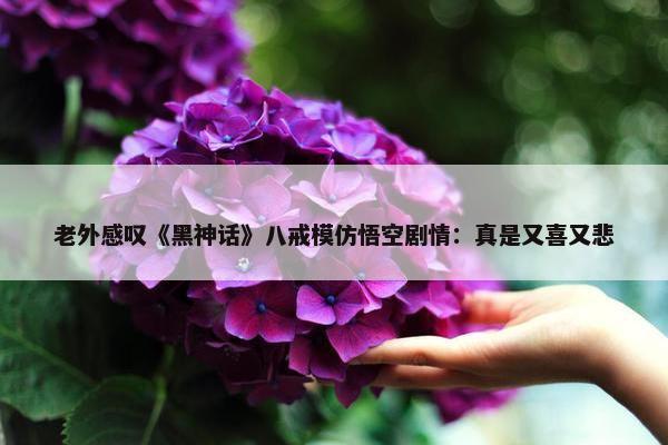 老外感叹《黑神话》八戒模仿悟空剧情：真是又喜又悲