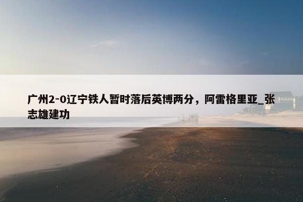 广州2-0辽宁铁人暂时落后英博两分，阿雷格里亚_张志雄建功