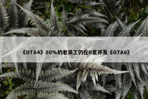 《GTA4》80%的老员工仍在R星开发《GTA6》