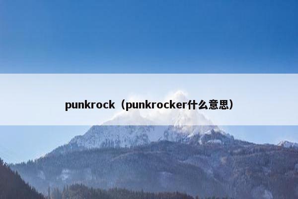 punkrock（punkrocker什么意思）