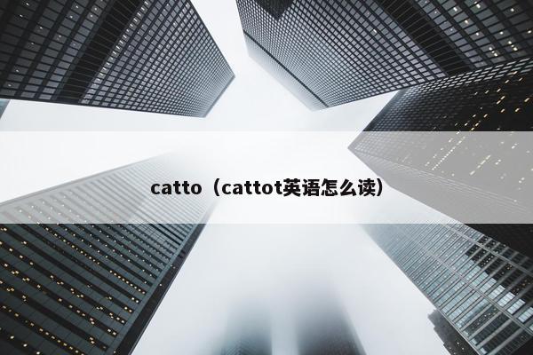 catto（cattot英语怎么读）