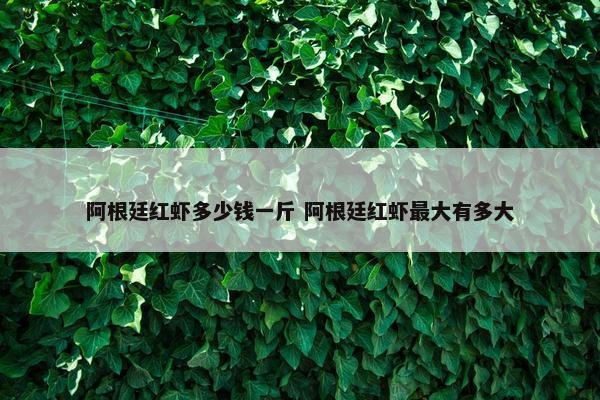 阿根廷红虾多少钱一斤 阿根廷红虾最大有多大